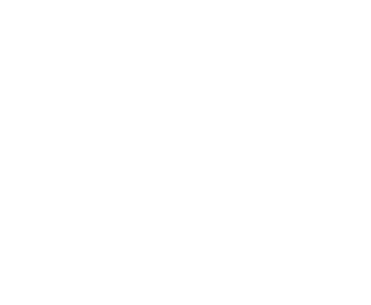 LE SAINT RO